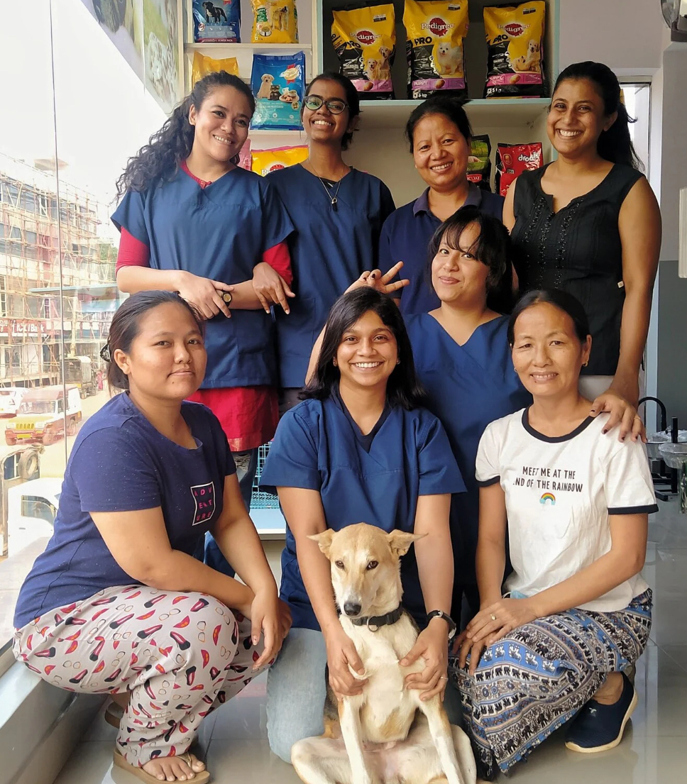 Meet the team